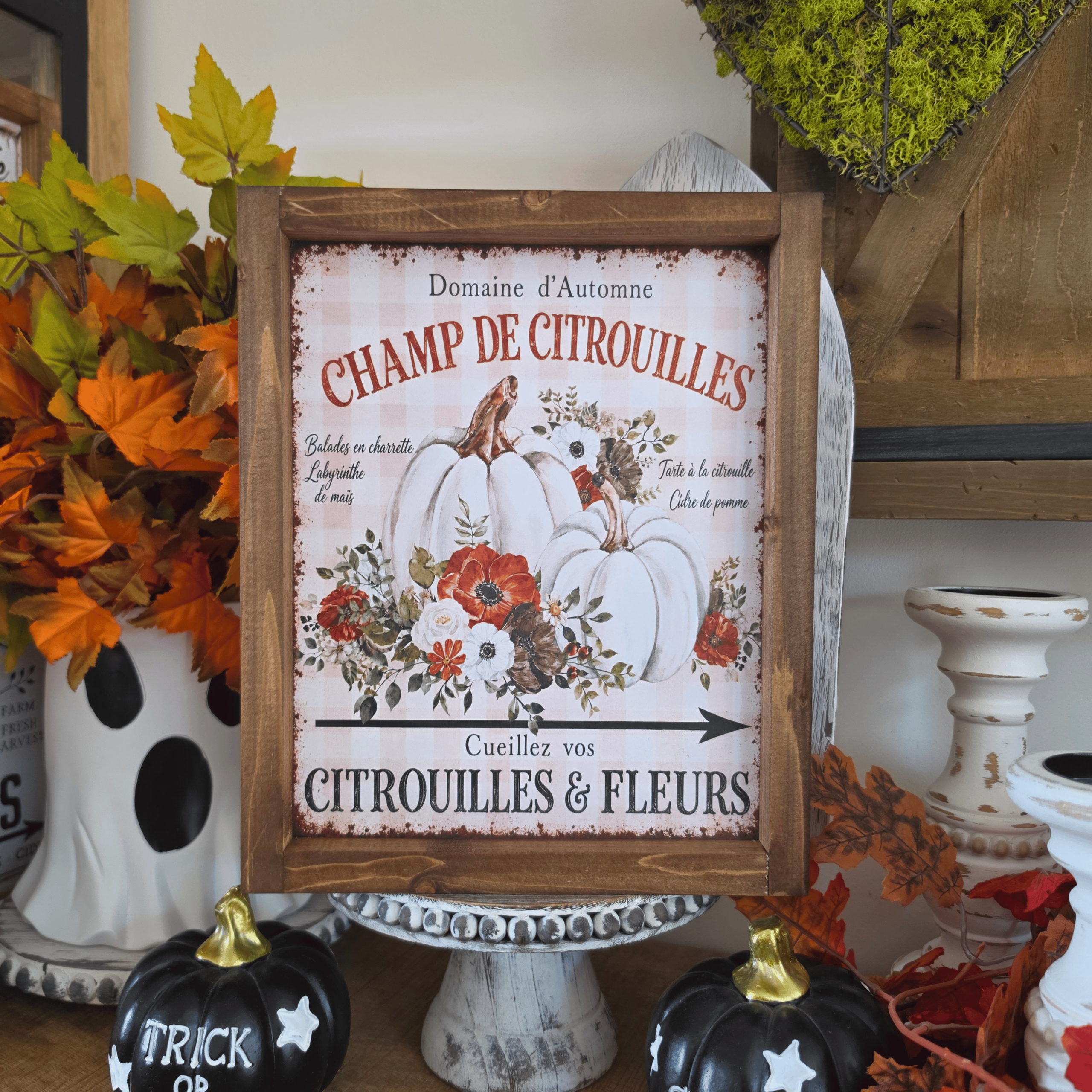 Cadre farmhouse Champ de Citrouilles avec citrouilles blanches et fleurs