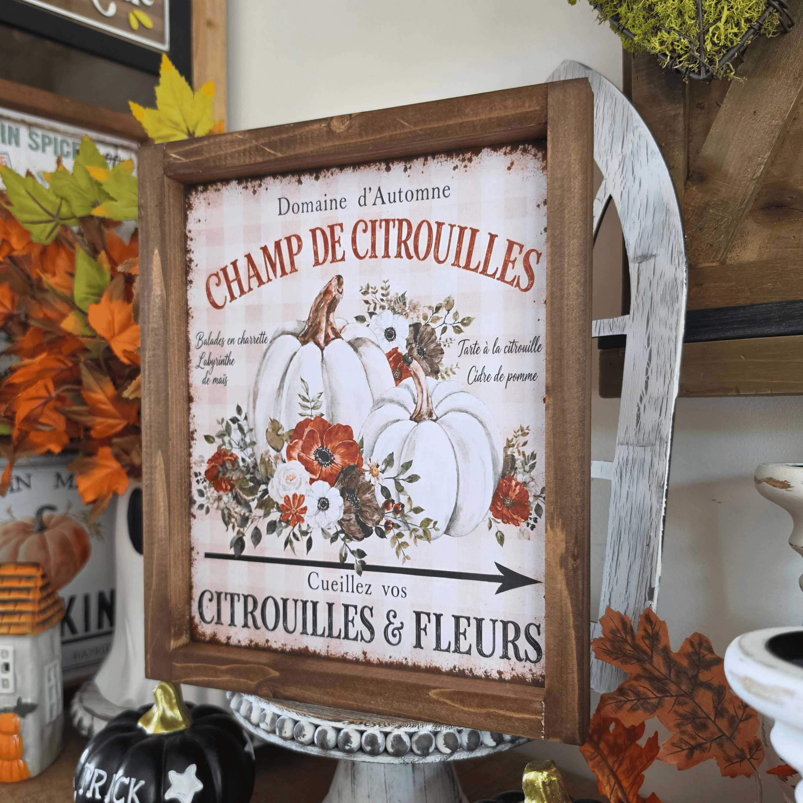 Cadre farmhouse Champ de Citrouilles avec citrouilles blanches et fleurs