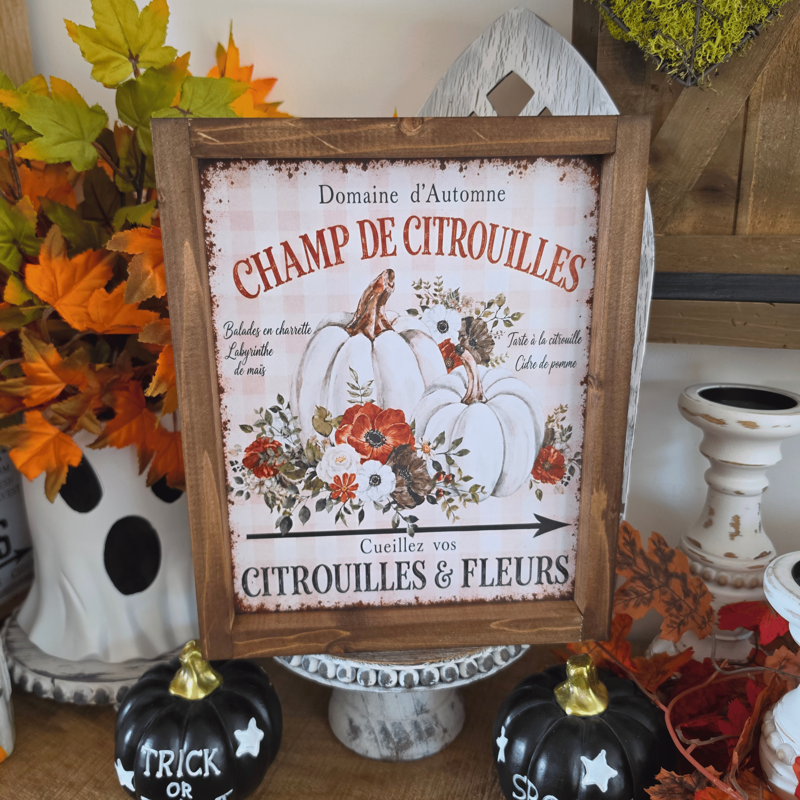 Cadre farmhouse Champ de Citrouilles avec citrouilles blanches et fleurs