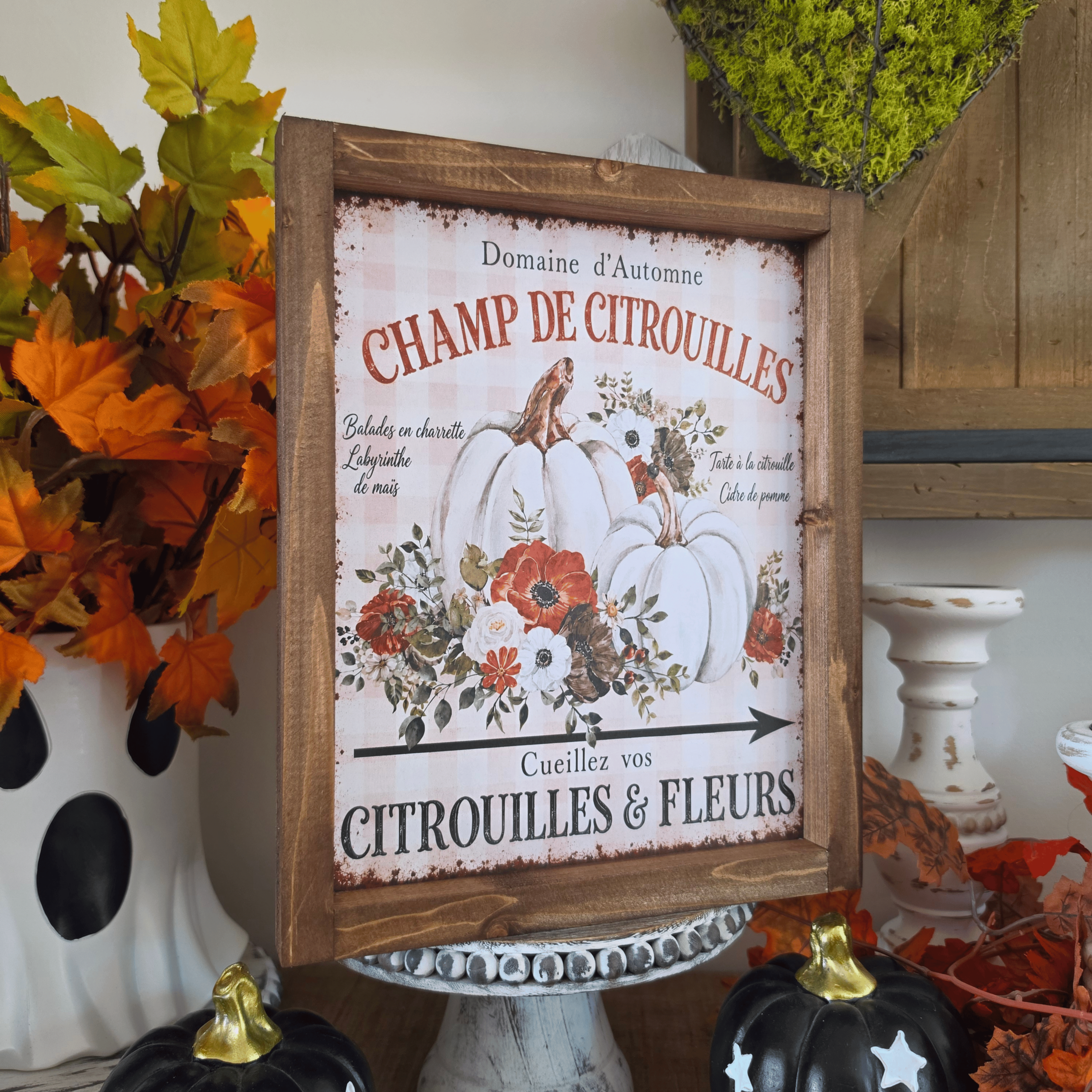 Cadre farmhouse Champ de Citrouilles avec citrouilles blanches et fleurs