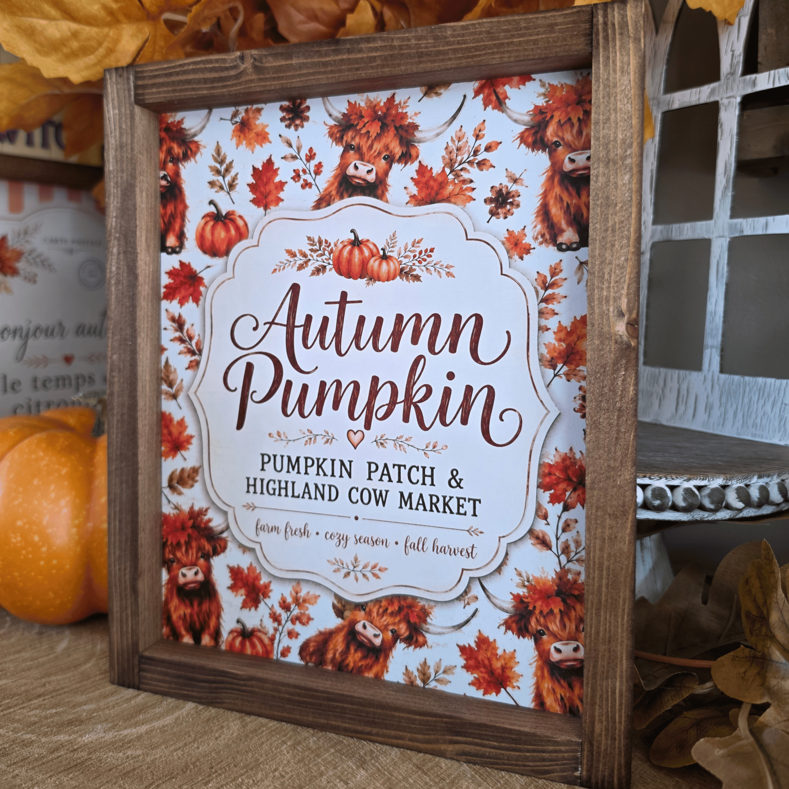 Cadre farmhouse automne avec vaches Highland et citrouilles
