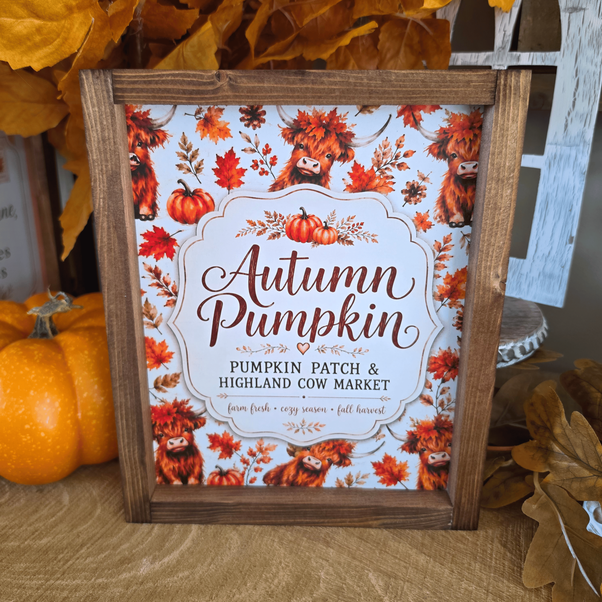 Cadre farmhouse automne avec vaches Highland et citrouilles