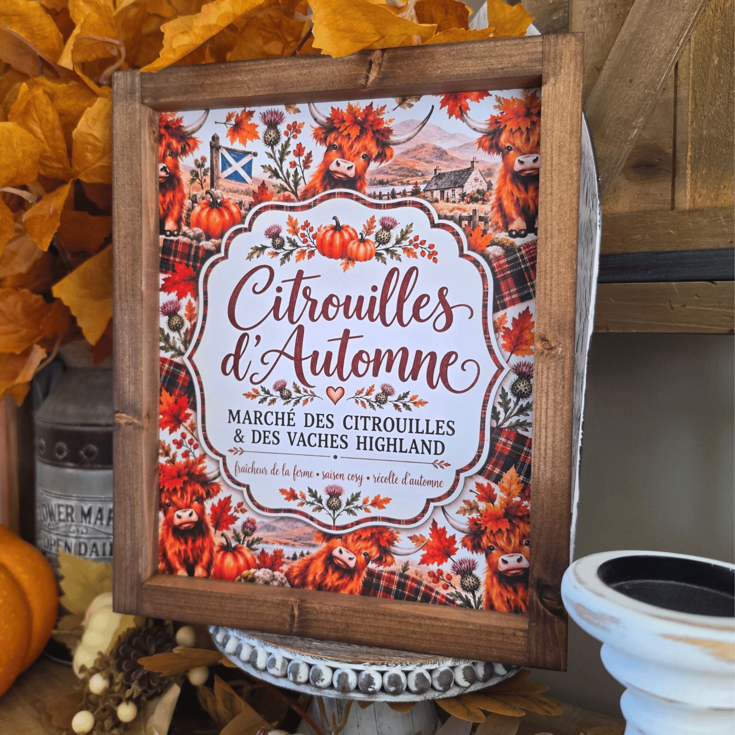 Cadre farmhouse vaches Highland et citrouilles d’automne